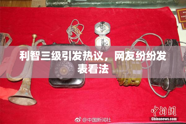 利智三级引发热议，网友纷纷发表看法