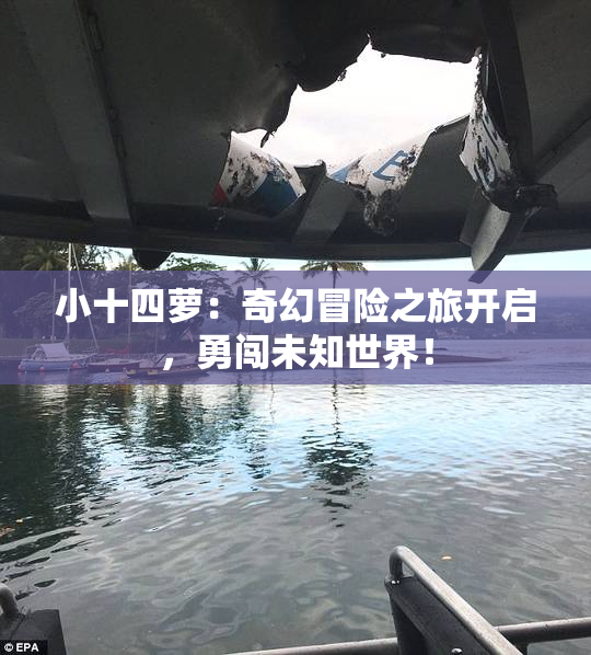 小十四萝：奇幻冒险之旅开启，勇闯未知世界！