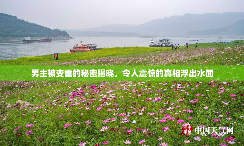 男主被变重的秘密揭晓，令人震惊的真相浮出水面