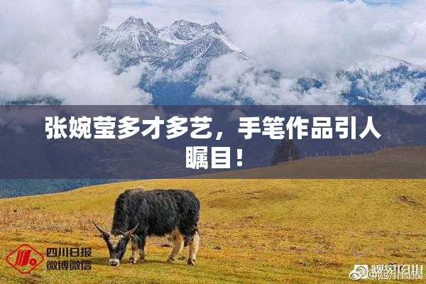张婉莹多才多艺，手笔作品引人瞩目！