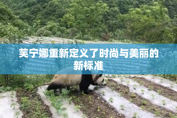 芙宁娜重新定义了时尚与美丽的新标准