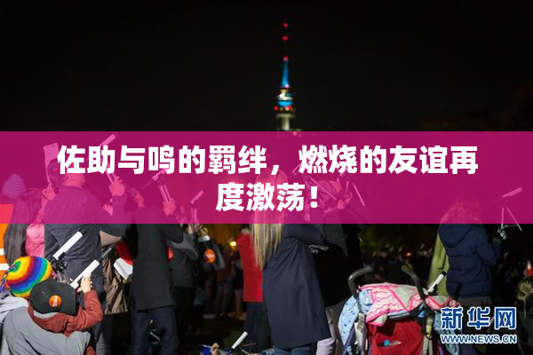佐助与鸣的羁绊，燃烧的友谊再度激荡！