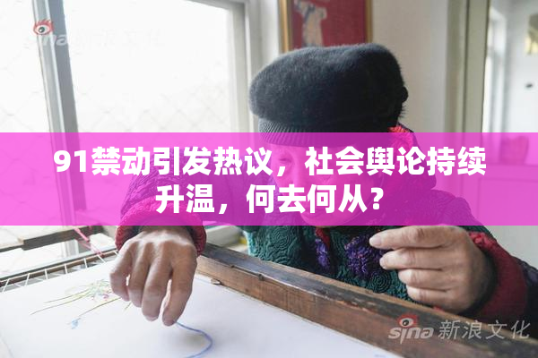 91禁动引发热议，社会舆论持续升温，何去何从？