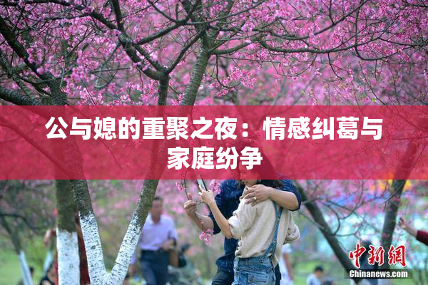 公与媳的重聚之夜：情感纠葛与家庭纷争