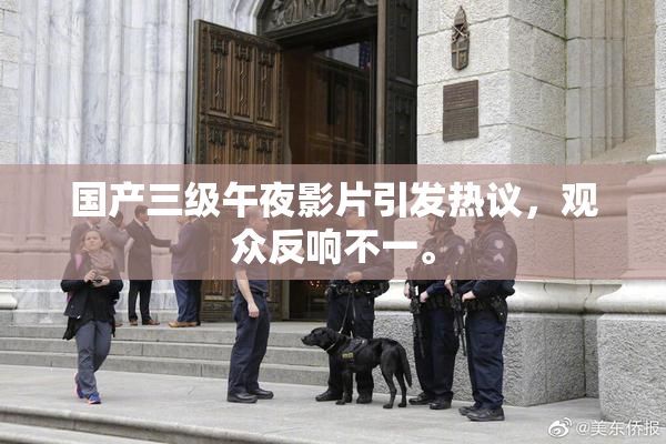 国产三级午夜影片引发热议，观众反响不一。