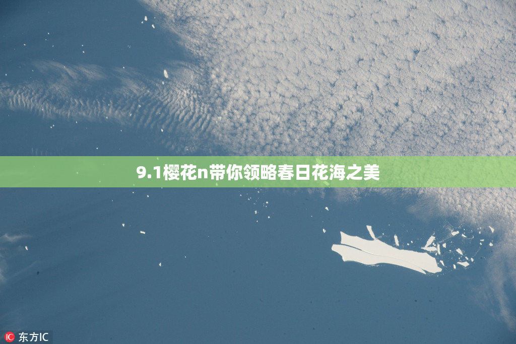 9.1樱花n带你领略春日花海之美