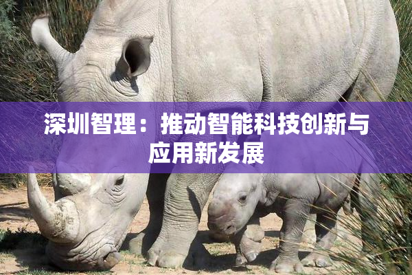 深圳智理：推动智能科技创新与应用新发展