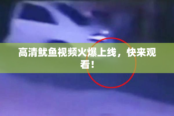 高清鱿鱼视频火爆上线，快来观看！