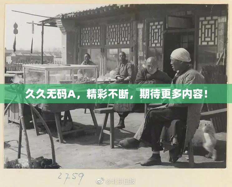 久久无码A，精彩不断，期待更多内容！
