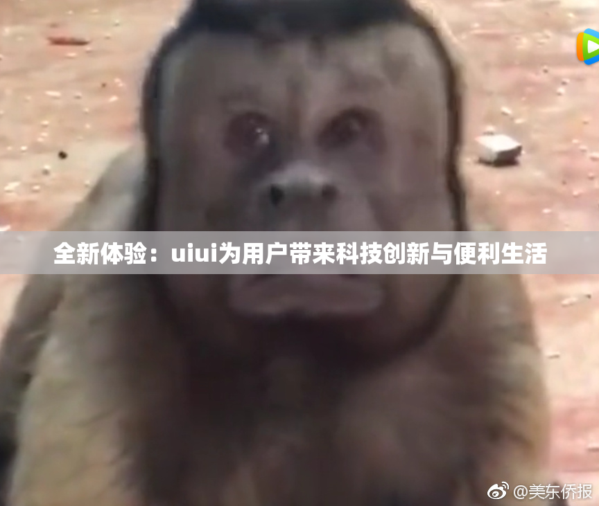 全新体验：uiui为用户带来科技创新与便利生活