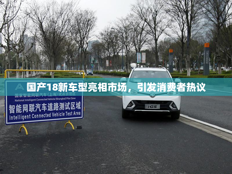 国产18新车型亮相市场，引发消费者热议