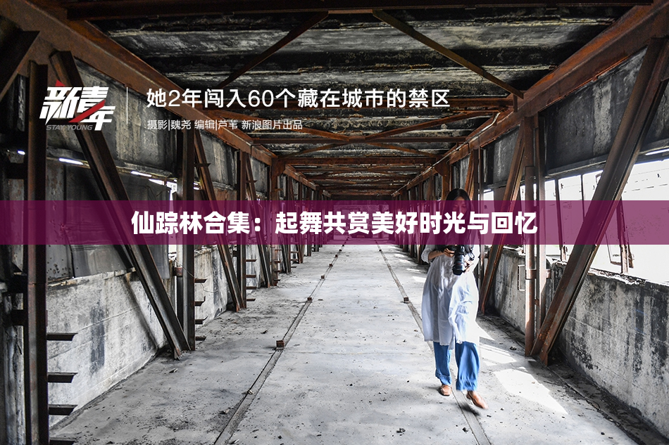 仙踪林合集：起舞共赏美好时光与回忆