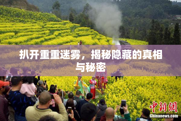 扒开重重迷雾，揭秘隐藏的真相与秘密