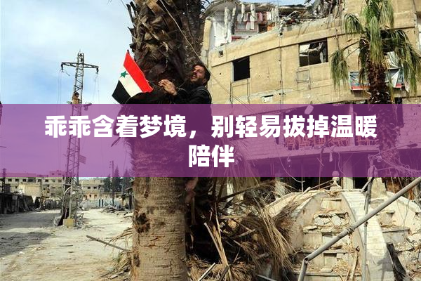 乖乖含着梦境，别轻易拔掉温暖陪伴