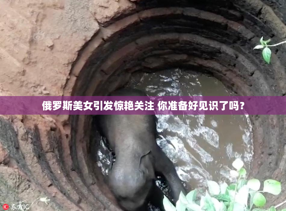 俄罗斯美女引发惊艳关注 你准备好见识了吗？