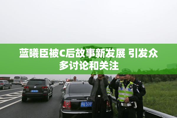 蓝曦臣被C后故事新发展 引发众多讨论和关注