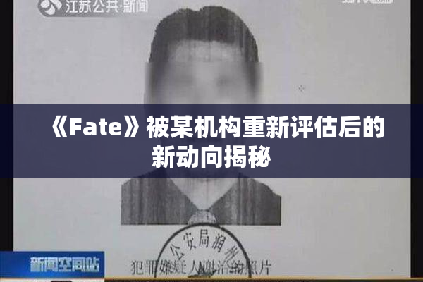 《Fate》被某机构重新评估后的新动向揭秘