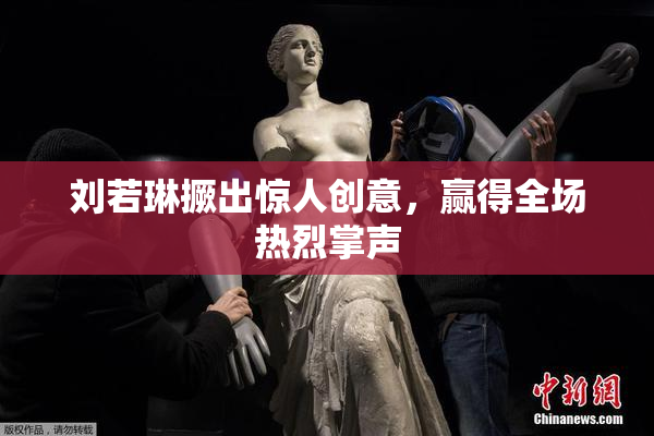 刘若琳撅出惊人创意，赢得全场热烈掌声
