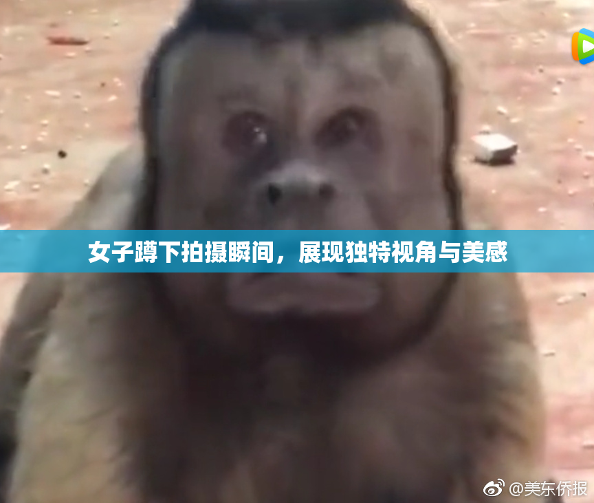 女子蹲下拍摄瞬间，展现独特视角与美感