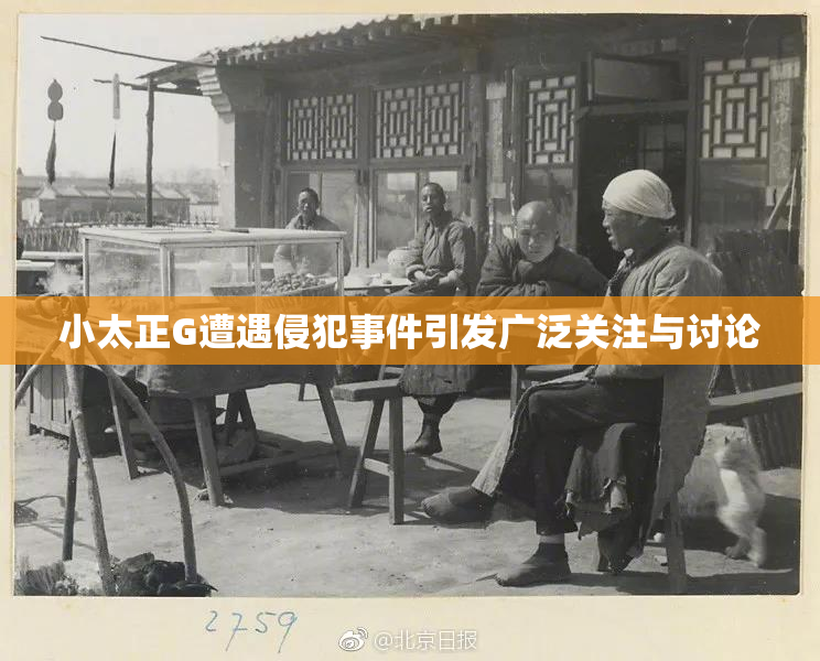 小太正G遭遇侵犯事件引发广泛关注与讨论