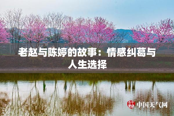 老赵与陈婷的故事：情感纠葛与人生选择