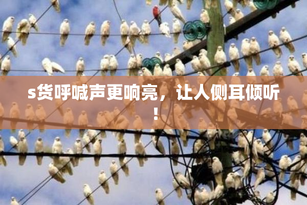 s货呼喊声更响亮，让人侧耳倾听！