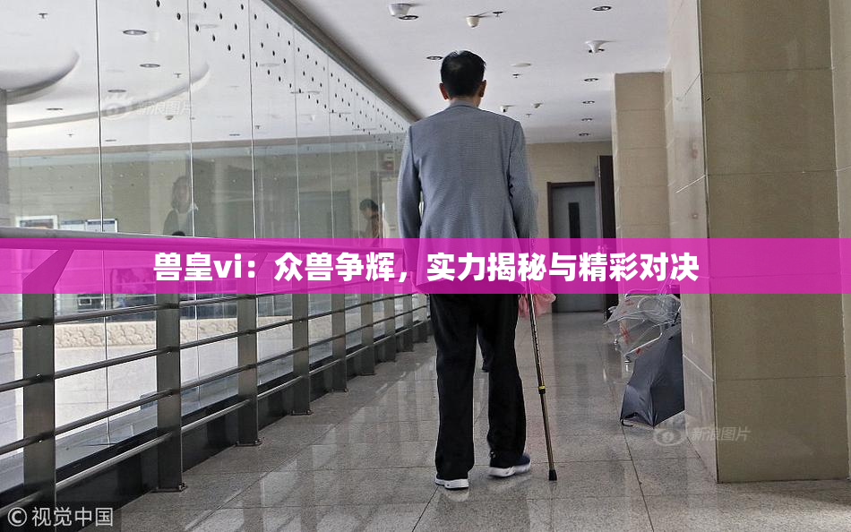 兽皇vi：众兽争辉，实力揭秘与精彩对决