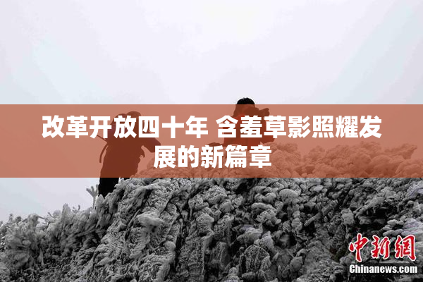 改革开放四十年 含羞草影照耀发展的新篇章