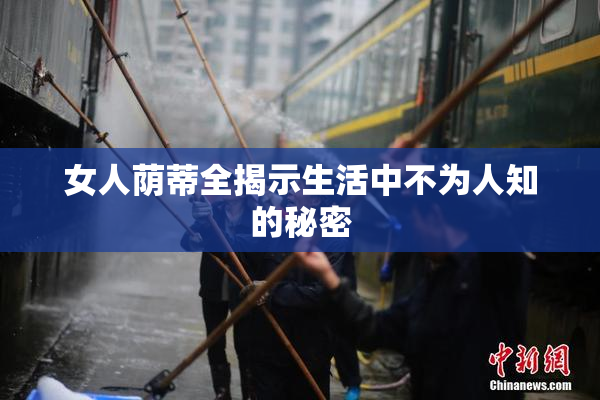 女人荫蒂全揭示生活中不为人知的秘密