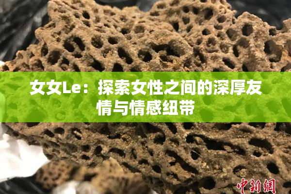 女女Le：探索女性之间的深厚友情与情感纽带
