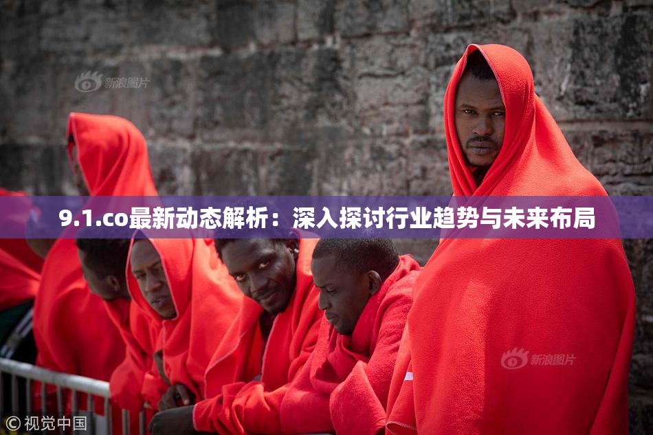 9.1.co最新动态解析：深入探讨行业趋势与未来布局