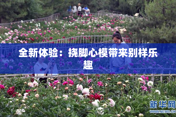 全新体验：挠脚心模带来别样乐趣