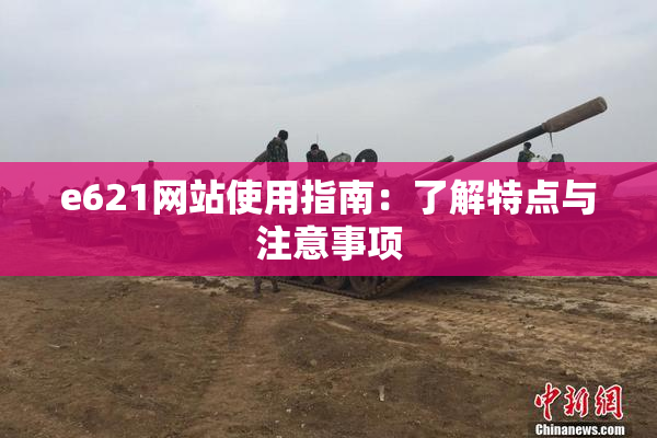 e621网站使用指南：了解特点与注意事项