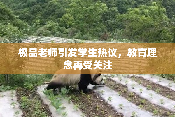 极品老师引发学生热议，教育理念再受关注