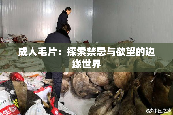 成人毛片：探索禁忌与欲望的边缘世界