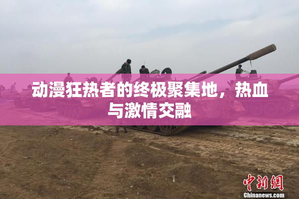 动漫狂热者的终极聚集地，热血与激情交融