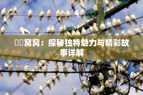 妺妺窝窝：探秘独特魅力与精彩故事详解