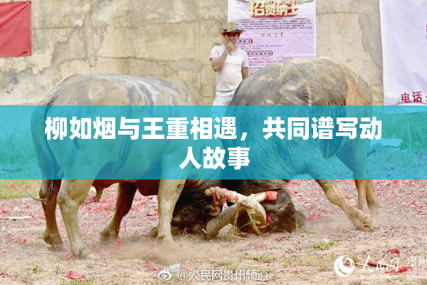 柳如烟与王重相遇，共同谱写动人故事