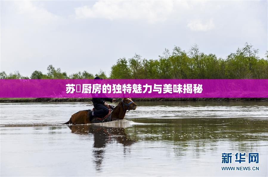 苏玥厨房的独特魅力与美味揭秘