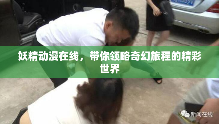 妖精动漫在线，带你领略奇幻旅程的精彩世界