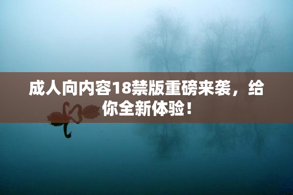 成人向内容18禁版重磅来袭，给你全新体验！