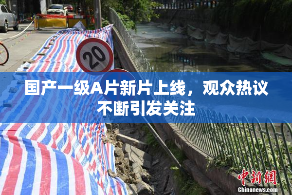 国产一级A片新片上线，观众热议不断引发关注