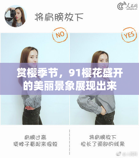 赏樱季节，91樱花盛开的美丽景象展现出来