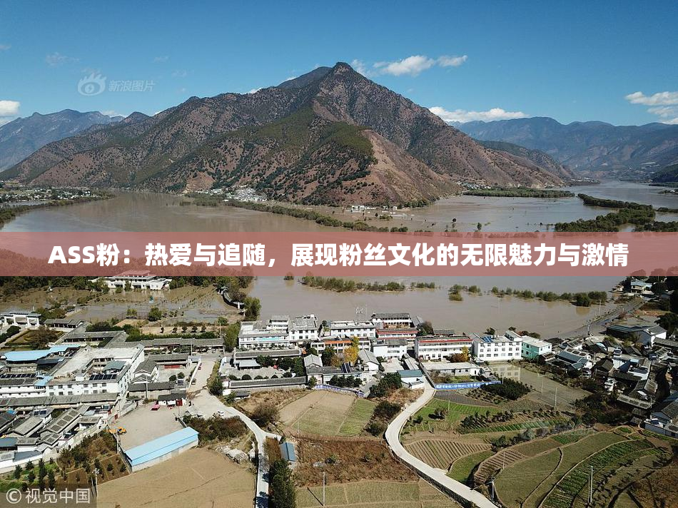 ASS粉：热爱与追随，展现粉丝文化的无限魅力与激情