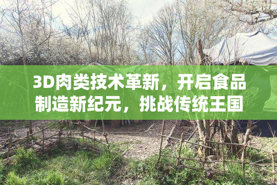 3D肉类技术革新，开启食品制造新纪元，挑战传统王国