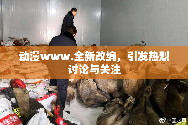 动漫www.全新改编，引发热烈讨论与关注