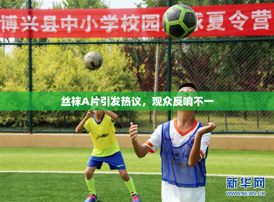 丝袜A片引发热议，观众反响不一