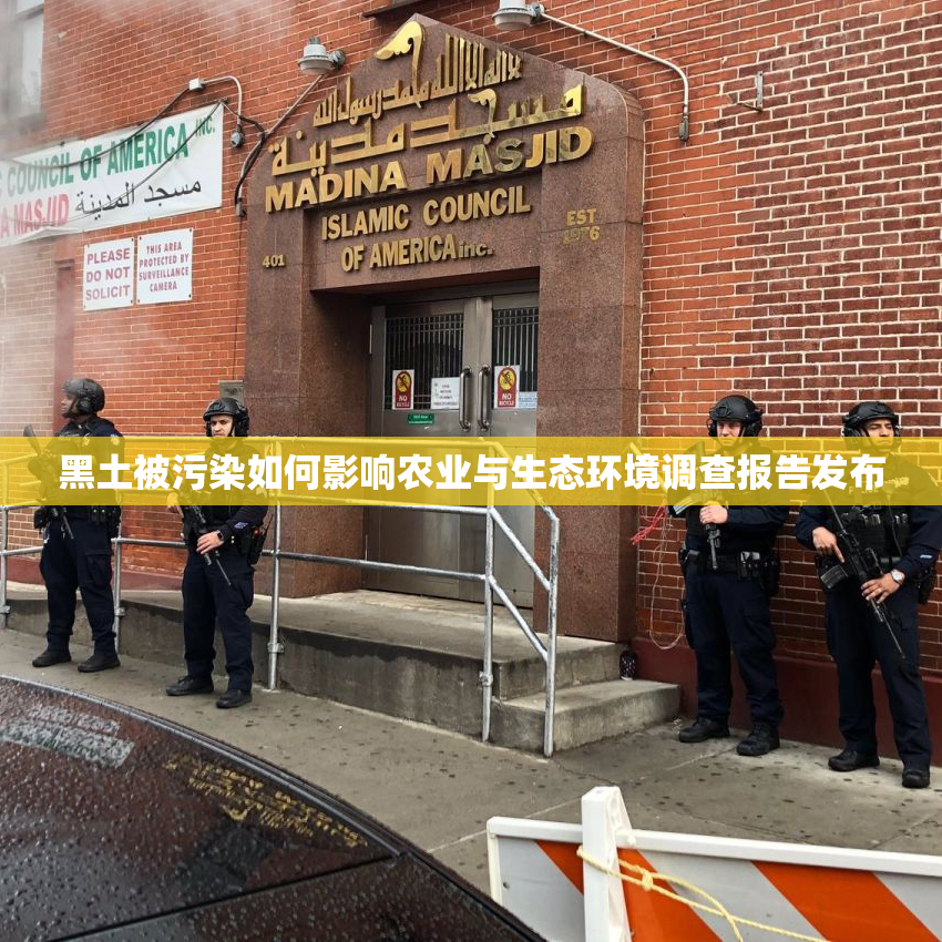 黑土被污染如何影响农业与生态环境调查报告发布