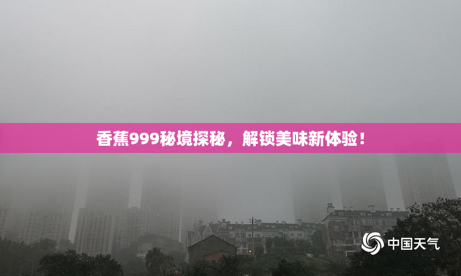 香蕉999秘境探秘，解锁美味新体验！