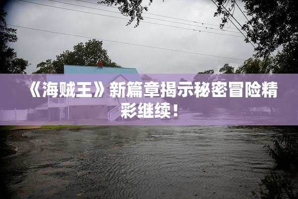 《海贼王》新篇章揭示秘密冒险精彩继续！